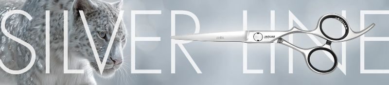 SILVER LINE