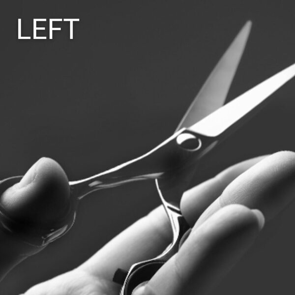 Jaguar Left scissor models